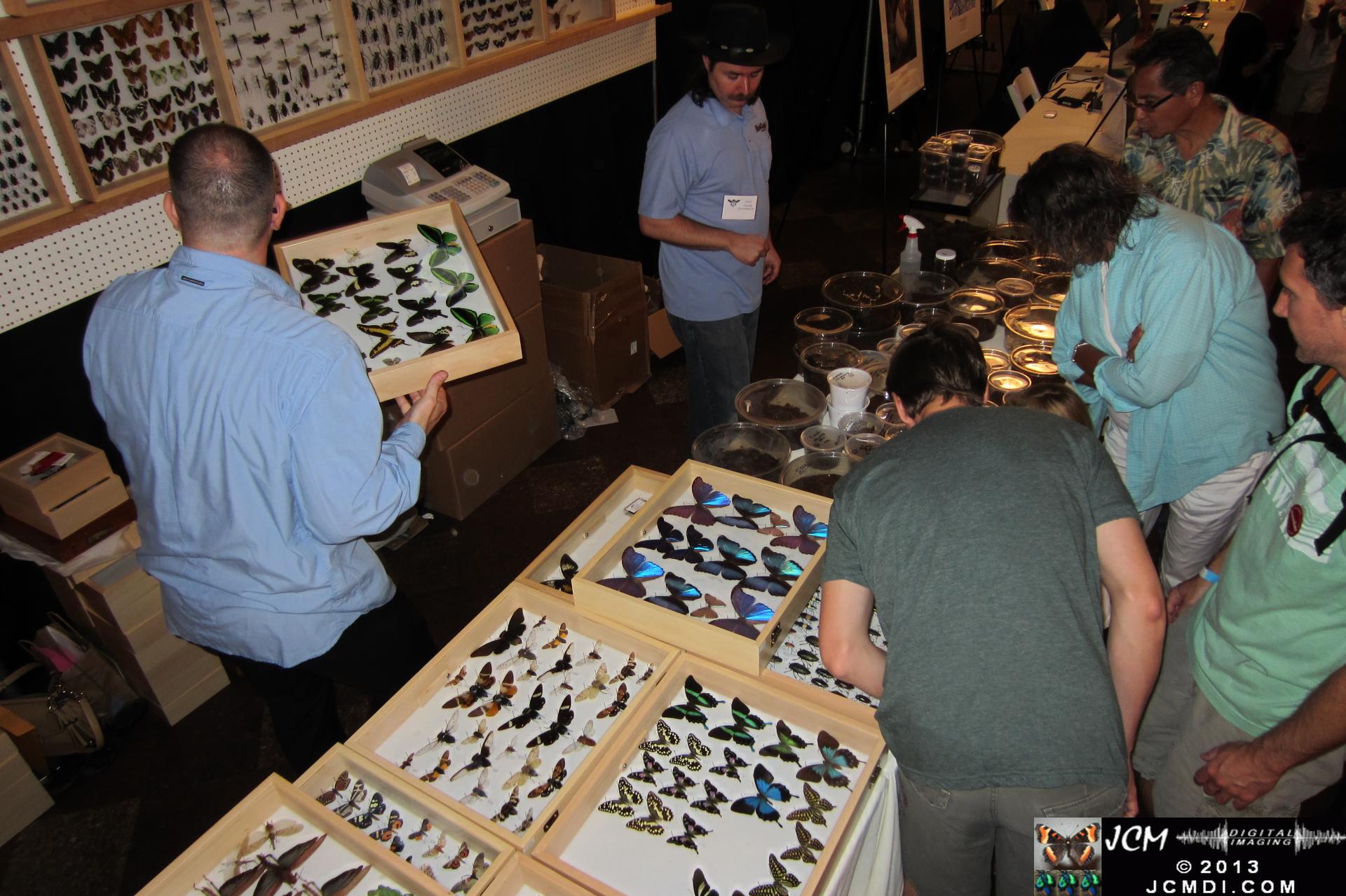 LANHM Bug Fair 2013 crowds and displays